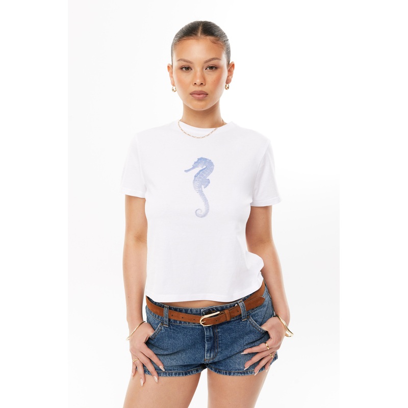 Seahorse Everyday Graphic Tee