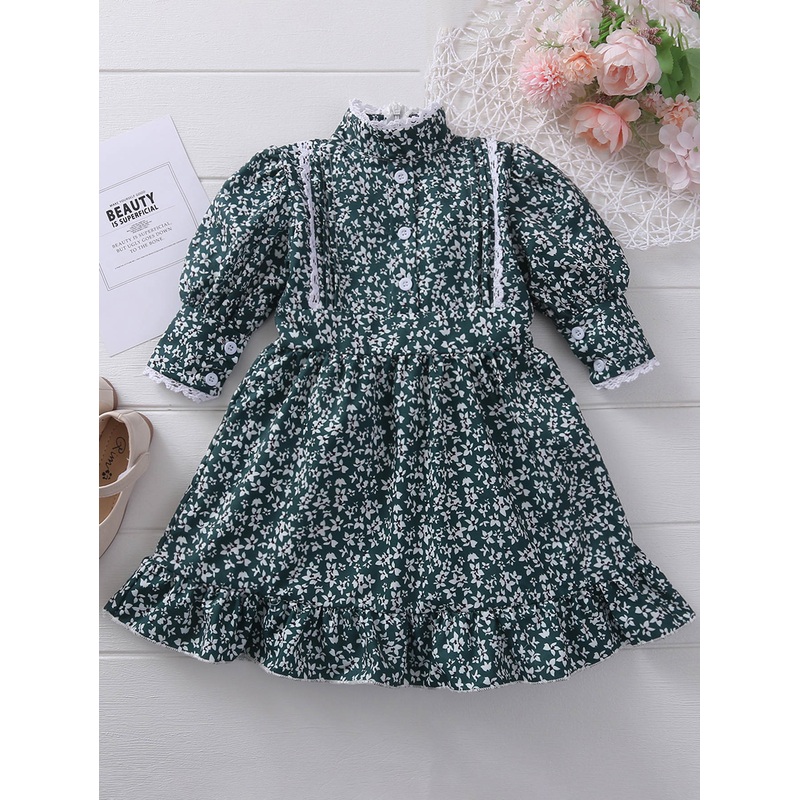 Baby Girl Lace Trim Ditsy Floral Dress