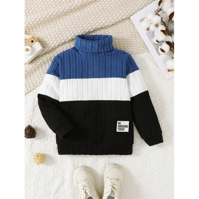 Young Boy Patchwork Contrast Color Ribbed High Neck Sweatshirt